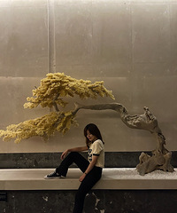 94����������飬ϲ��������������