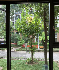 ķǿӣ169ĵ山112ƽ󷿶Ҫװˣ