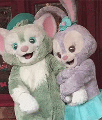 ��ֻ����ɺ���޼Ҿӷ�49�����ǿ��3��19