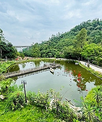 ��������桰�����������ˣ�¶�ũ�Ҳ˻�����ζ