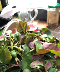 86����»������乤���ĸ������飬ϲ������������