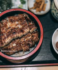 �һ�4�����18����ʳ��ȥ�Ϻ�����һƪ�͹���