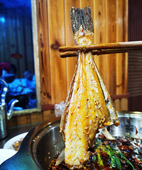 ֻƾһ���Ķ���ɾ͡����š���������ҹ��Ӳ�����