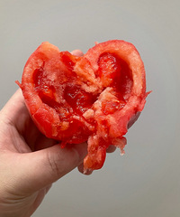 ����۷���������ҵ��氮�����Լ��ھ���һ��̫ˬ��