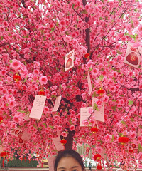 94ľзHR飬ϣԷ27-30