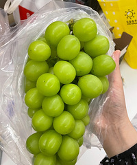 20��Ǯһ���10��Ǯһ�������õ����