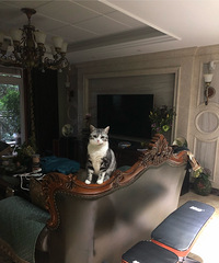 93��171CM�Ĺ���ITС�����飬ϣ���Է�28������