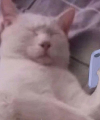 ����Ů�ǵ������ж�������