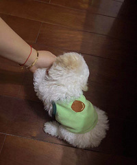 88162CMҽҵС飬ϣԷθе