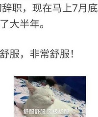 长期不上班是什么体验?太让人心动