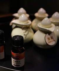 ���ܺ��¶������Եĵ��ݰ����ſ������ԡ