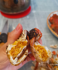 ˵˵������̽���з�����Żƶ���Ҳ�಻�ȴ�բз��