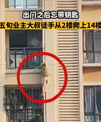 ӲˣһԿͽִ2¥14¥Ҫ