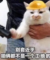 ���ϰ�ҩ��������40Ƭ59��ŷ����ˮ�������Ƭ29