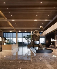 �����������ӾƵ���컨�壡�ߵ��������ݻ�����������