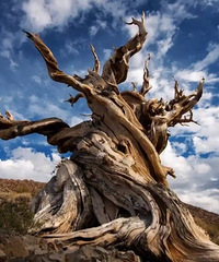 ��˵����ȫ����Ѱ������ϵ���