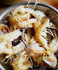 ����+���ε�����������������ʵ����ƤƤϺ����