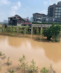 直击磁器口现场,今将迎来最大洪峰