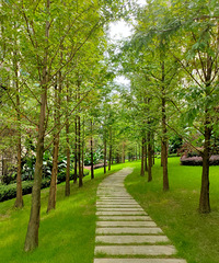 ̫ϲǵС1000ƽ̵أһľֻֽܵ