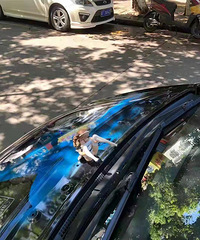 ʧֻԷϵĶ̫ɧˣҲܽܰ