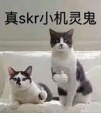 �崿С�������׹�������