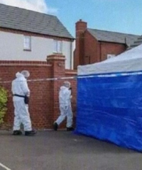 22��׸�����41������ɱ������