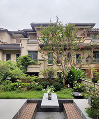 ͬɽ²600Oµ³ʽ԰̫ÿ