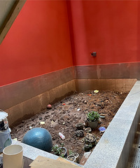 Сǧڰ鷿ĻˣˮֱӴӲɹ⾮