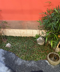 Сǧڰ鷿ĻˣˮֱӴӲɹ⾮