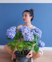 26166CMĲ廭ʦ飬ϣԷƼ