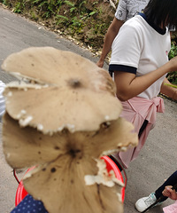 ĢҰܱˣҪ̫ˬջ񳬶