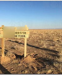 蚂蚁森林竟然实际地方看不到树?