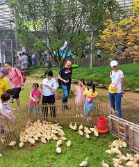 ��ɫ�����������ɫ��ɭ��