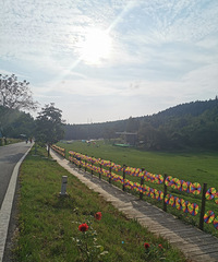 ��������ȥɭ�����ɣ����پ���ˣ�¶�