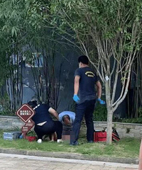 ҵ2Ůͯ׹¥ĸ롰ɡΪ