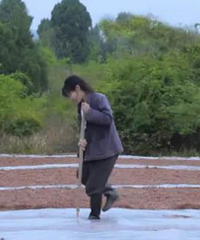 ���ѷ�����������Ƶ�����ܶ���PS