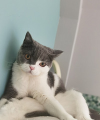 91153CMĿͷ飬ϣԷе