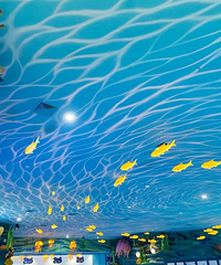 ȫҴСͺ磬òˣϸ˵˵