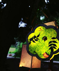 �½�����ʥ�ص������ˣ�����������һ��ع���Ȼ��ˣ��