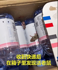 Ȫˮ2ֻèУ˿˻⳥20Ԫ￨