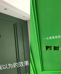 算不算最惨装修翻车?满头青青草原