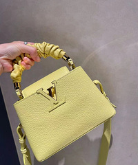 ����������С���� �� LV mini capucines