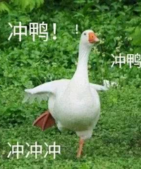 ����Ψһ��֤�ĳ�����������30+�ϰ��̳�����