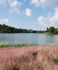 ·ֵĳС԰Ǳͷ캣̫Ư