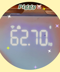 ��������¼���ʣ�Ŀ������110�����������ʵ�֣�