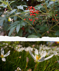 һһ¼ܣӰ֮·ЬµĻ