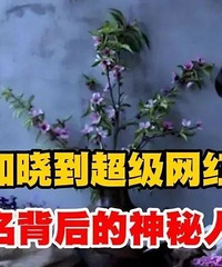 ��������ʱ����ײ�����ʲôì�ܣ�