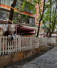 11000/OɳƺӲнϾ¥ݷ8ɸ