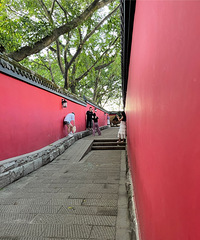 单身技能大赏:带爸爸打卡故宫墙,结果步道迷路2小时