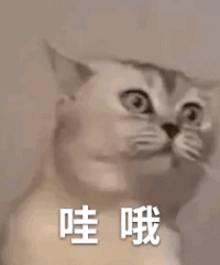 来聊聊你见过的最好的另一半吧,让我们羡慕一下